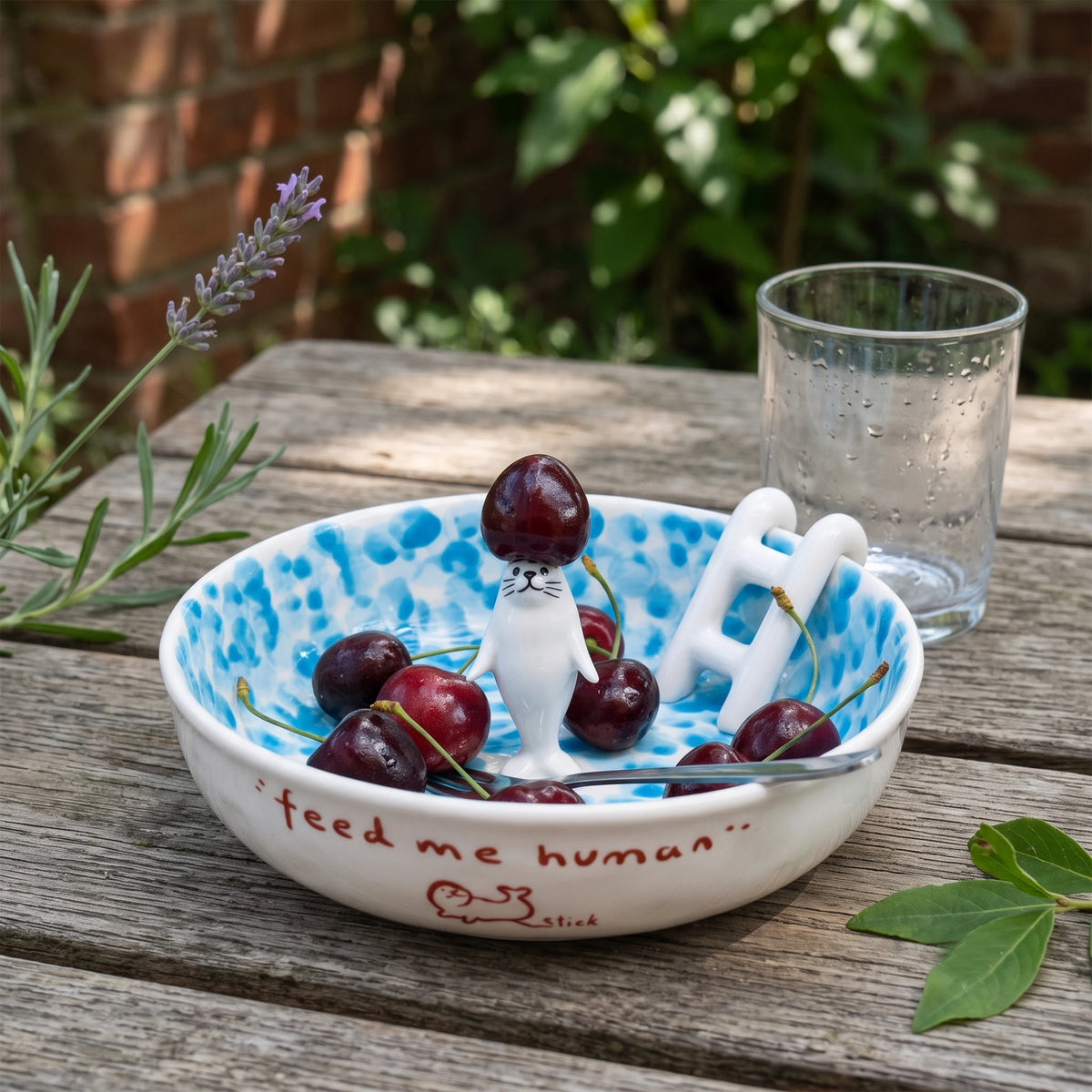 Handmade 3D Seal Ceramic Pool Fruit Bowl with Gift Box Set