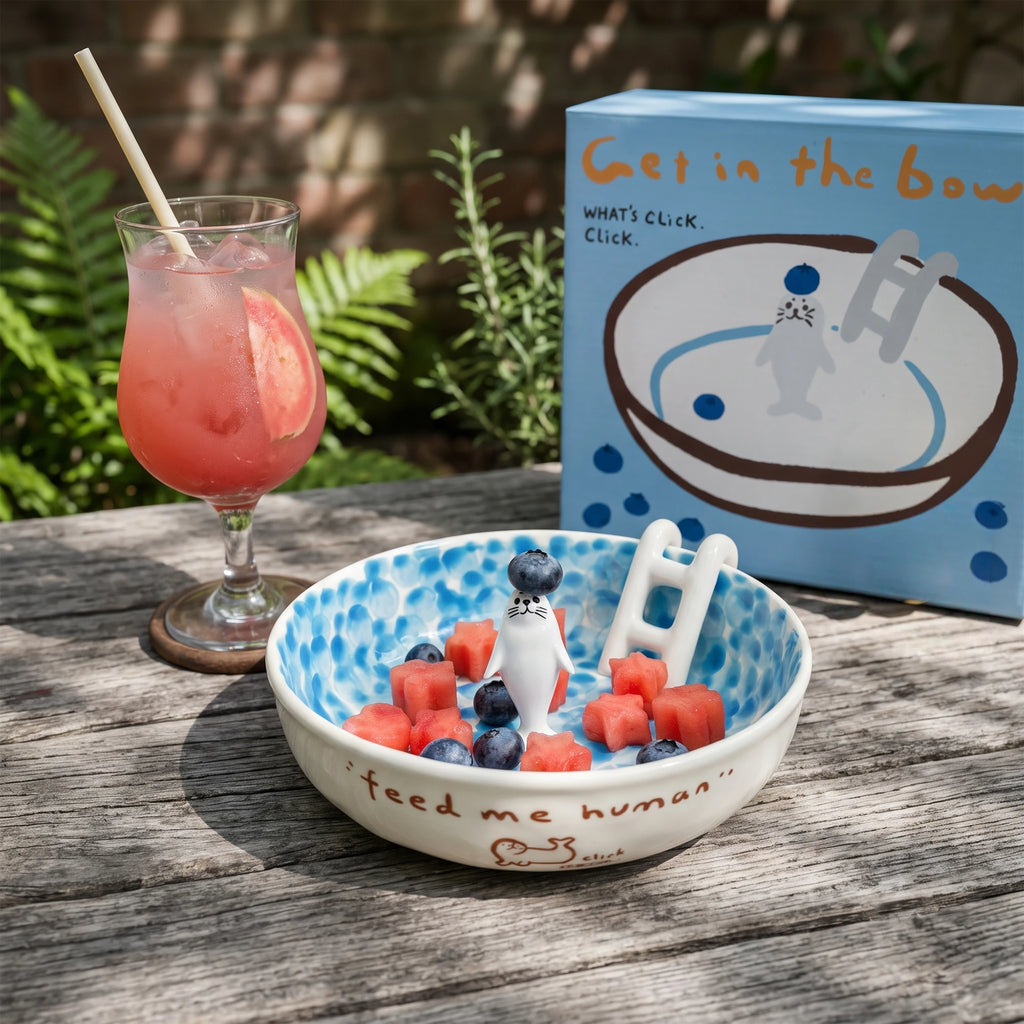 Handmade 3D Seal Ceramic Pool Fruit Bowl with Gift Box Set