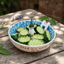 Handmade 3D Seal Ceramic Pool Fruit Bowl with Gift Box Set