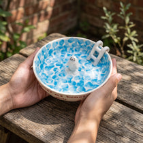 Handmade 3D Seal Ceramic Pool Fruit Bowl with Gift Box Set