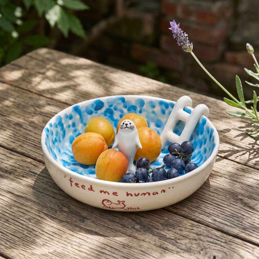 Handmade 3D Seal Ceramic Pool Fruit Bowl with Gift Box Set