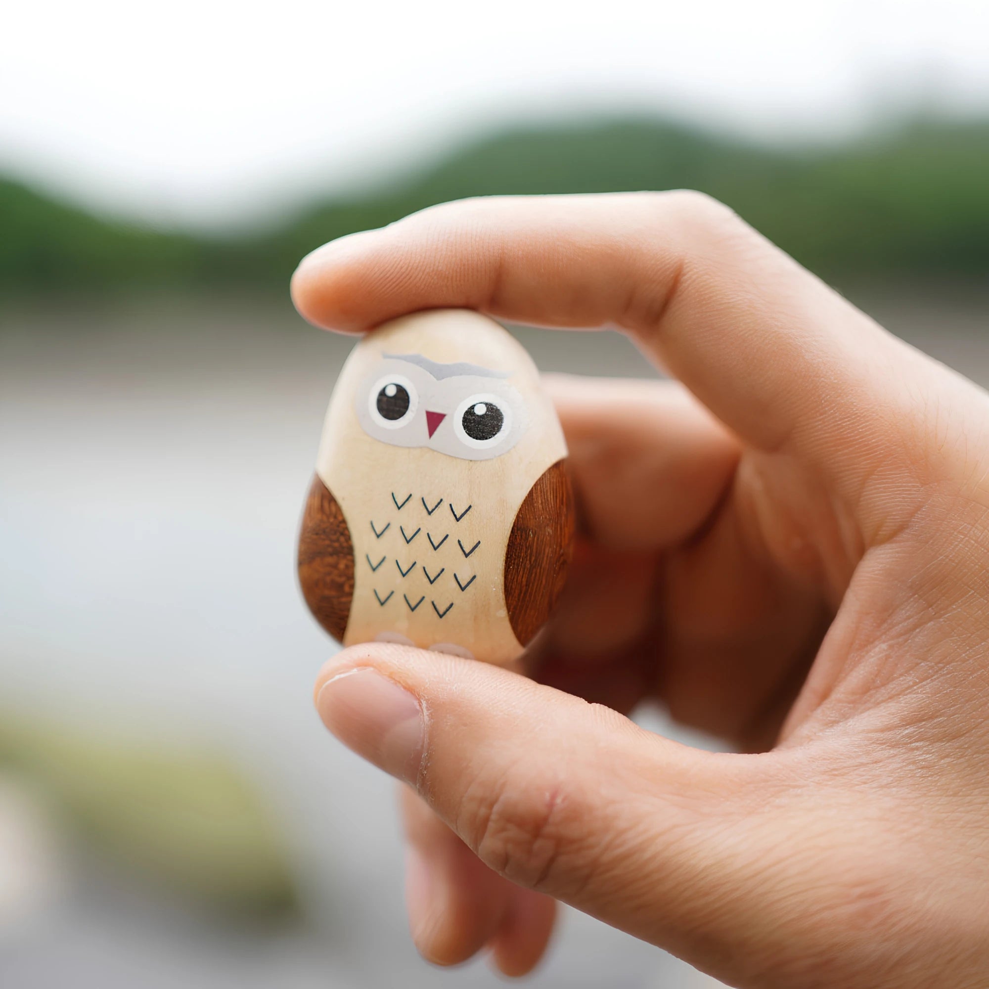 Hand-Painted Wooden Animal Pebble Magnet & Car Diffuser