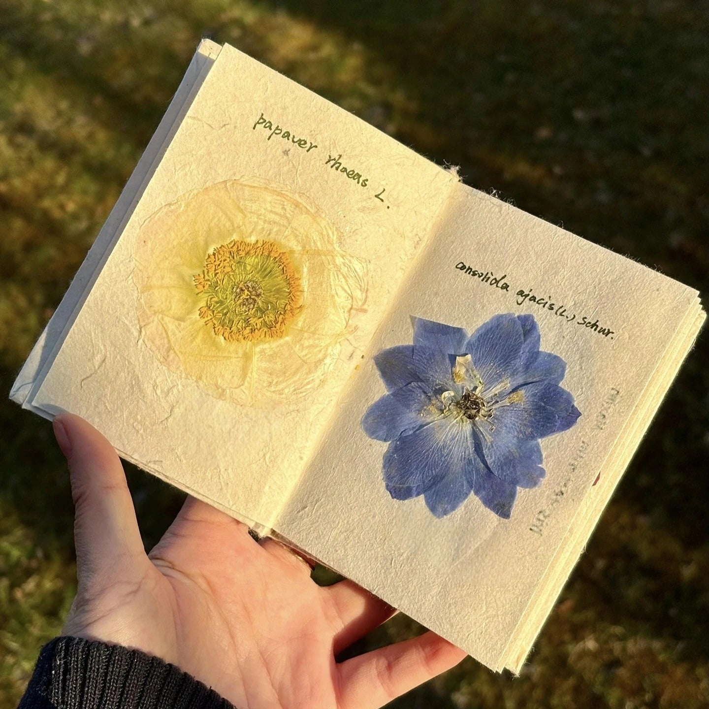 Handmade Nepali Lokta Paper Journal with Real Pressed Flowers