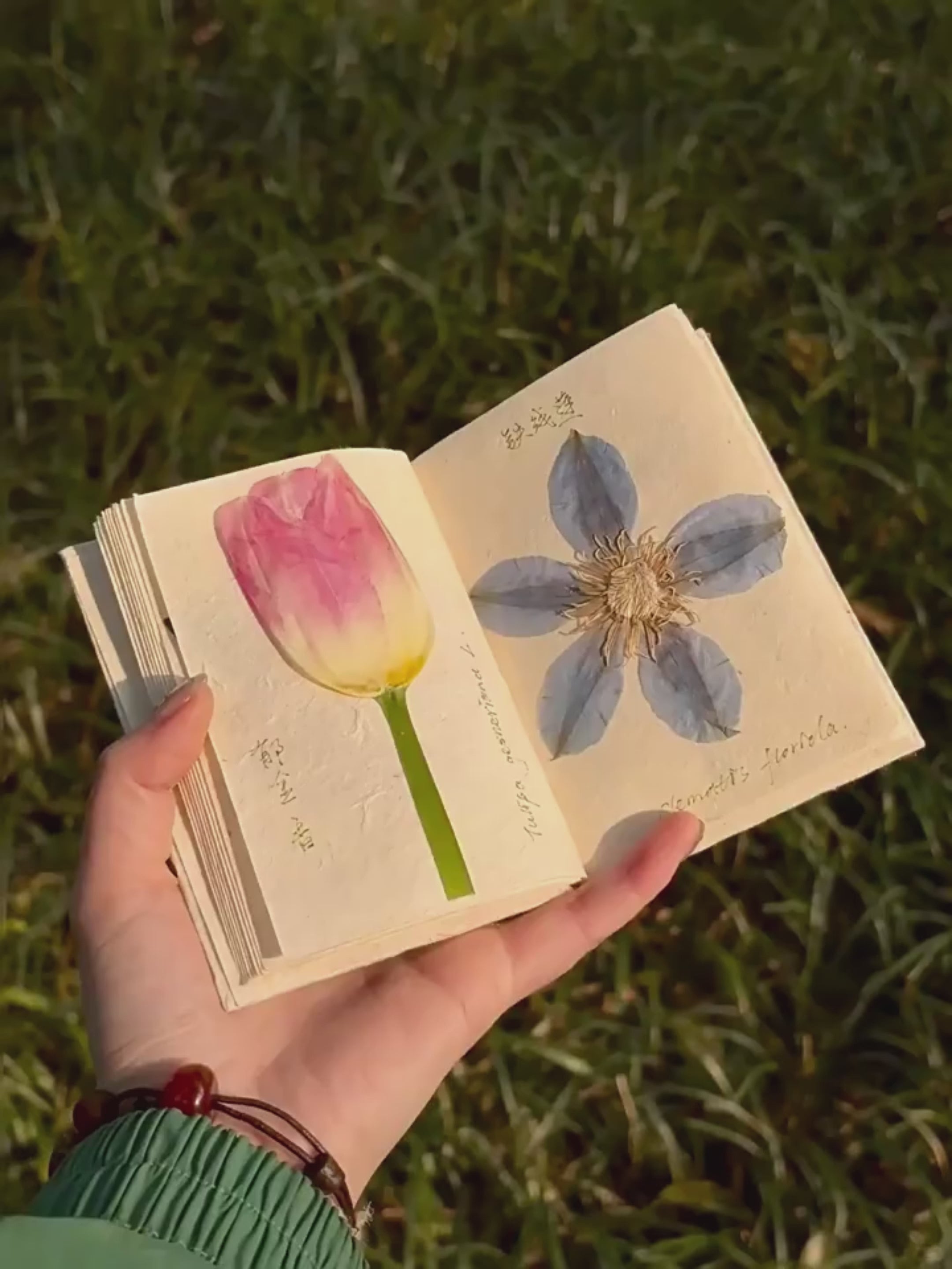 Handmade Nepali Lokta Paper Journal with Real Pressed Flowers